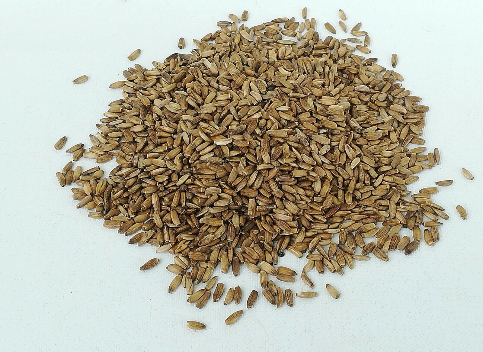 Mariendistel Samen - obrazek 2