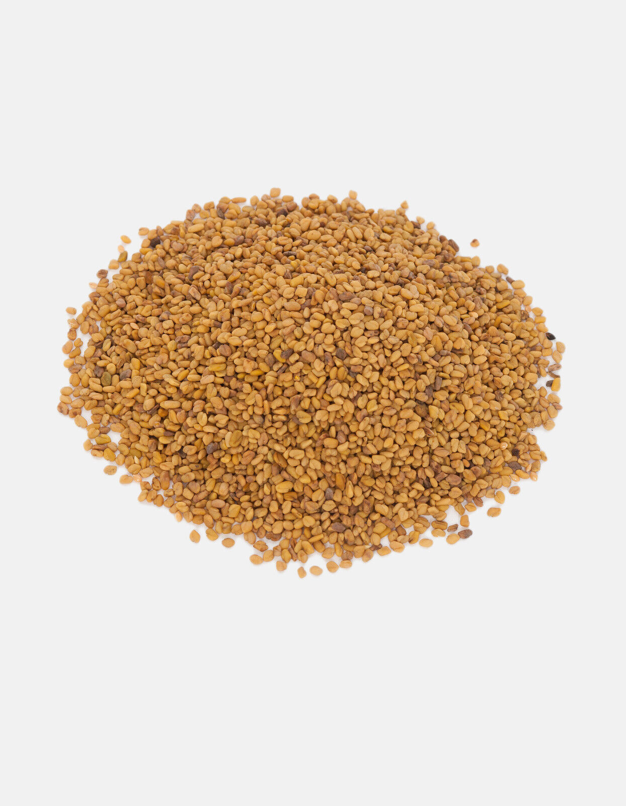 Bockshornklee Samen - obrazek 3