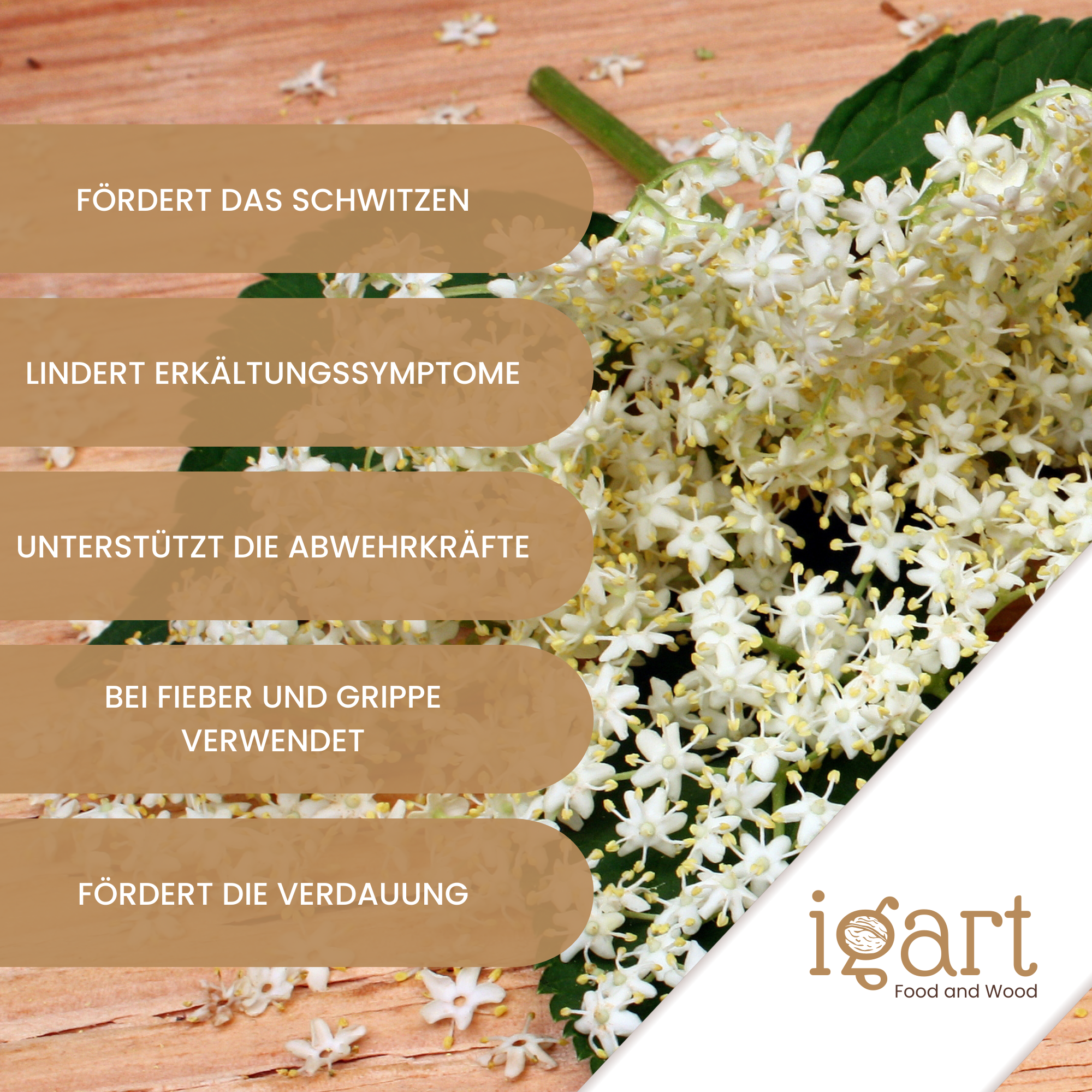 Holunderblüten geschnitten - obrazek 5