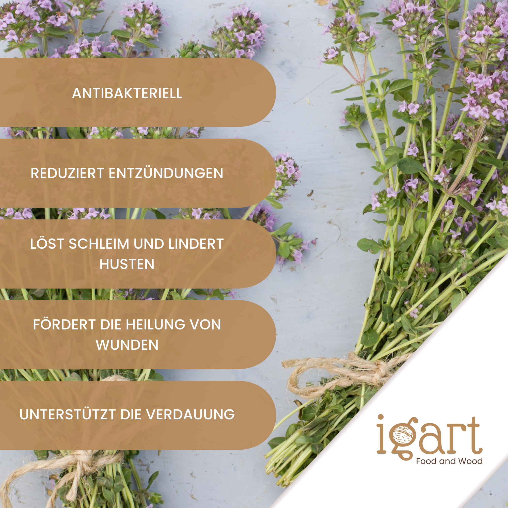 Quendalkraut geschnitten - obrazek 5