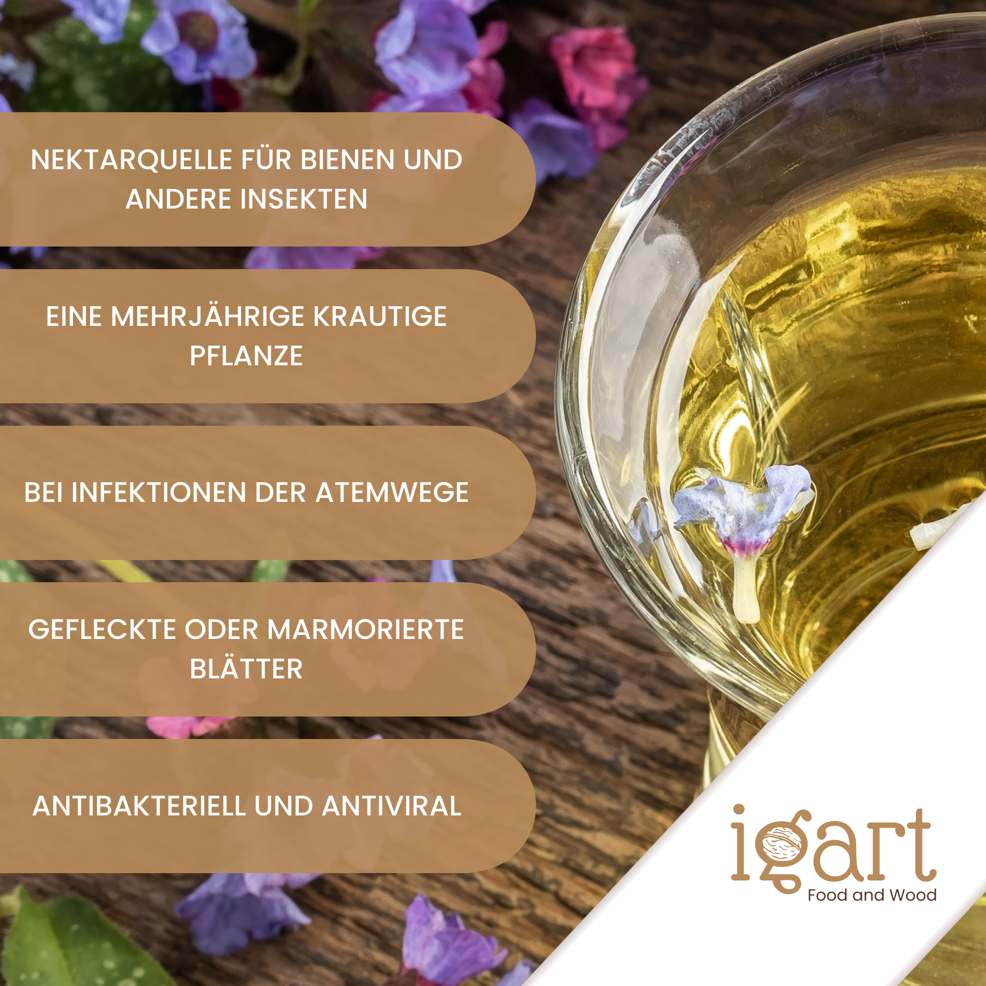 Lungenkraut geschnitten - obrazek 4