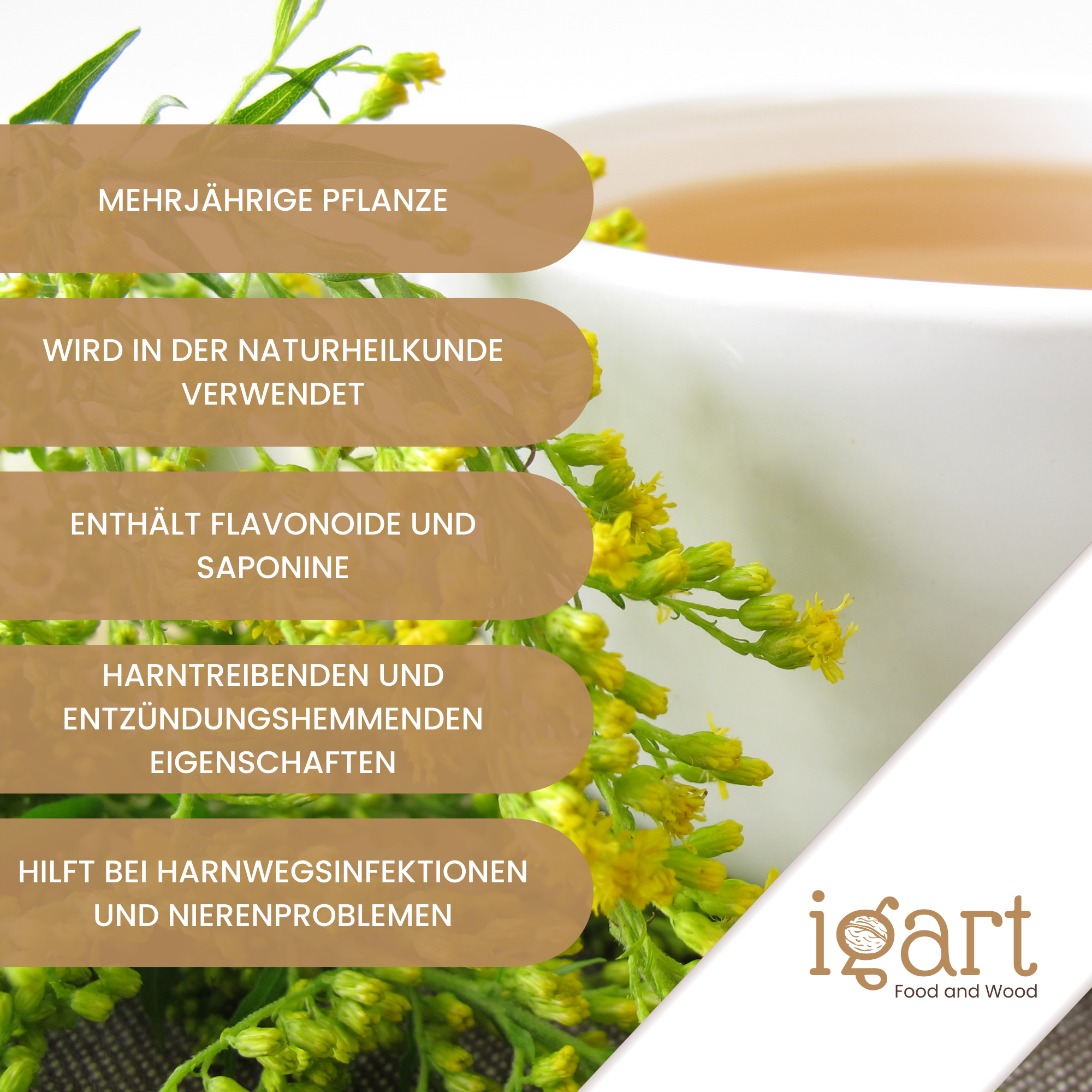 Goldrutenkraut geschnitten - obrazek 4