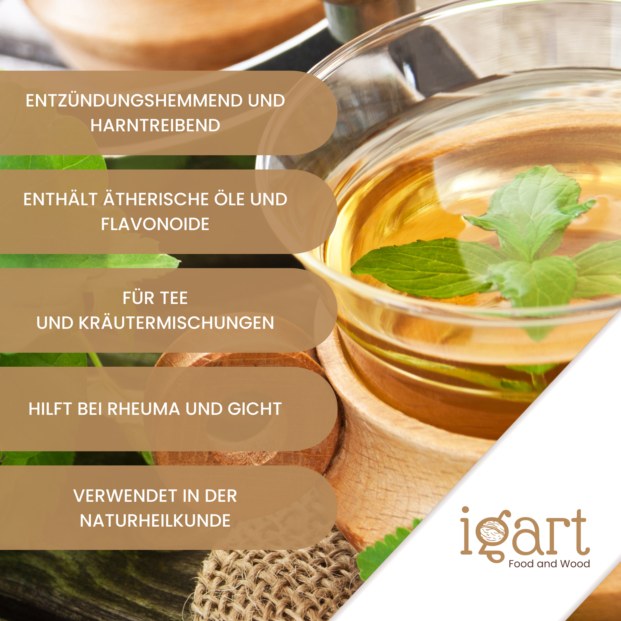 Geißfußkraut geschnitten - obrazek 5