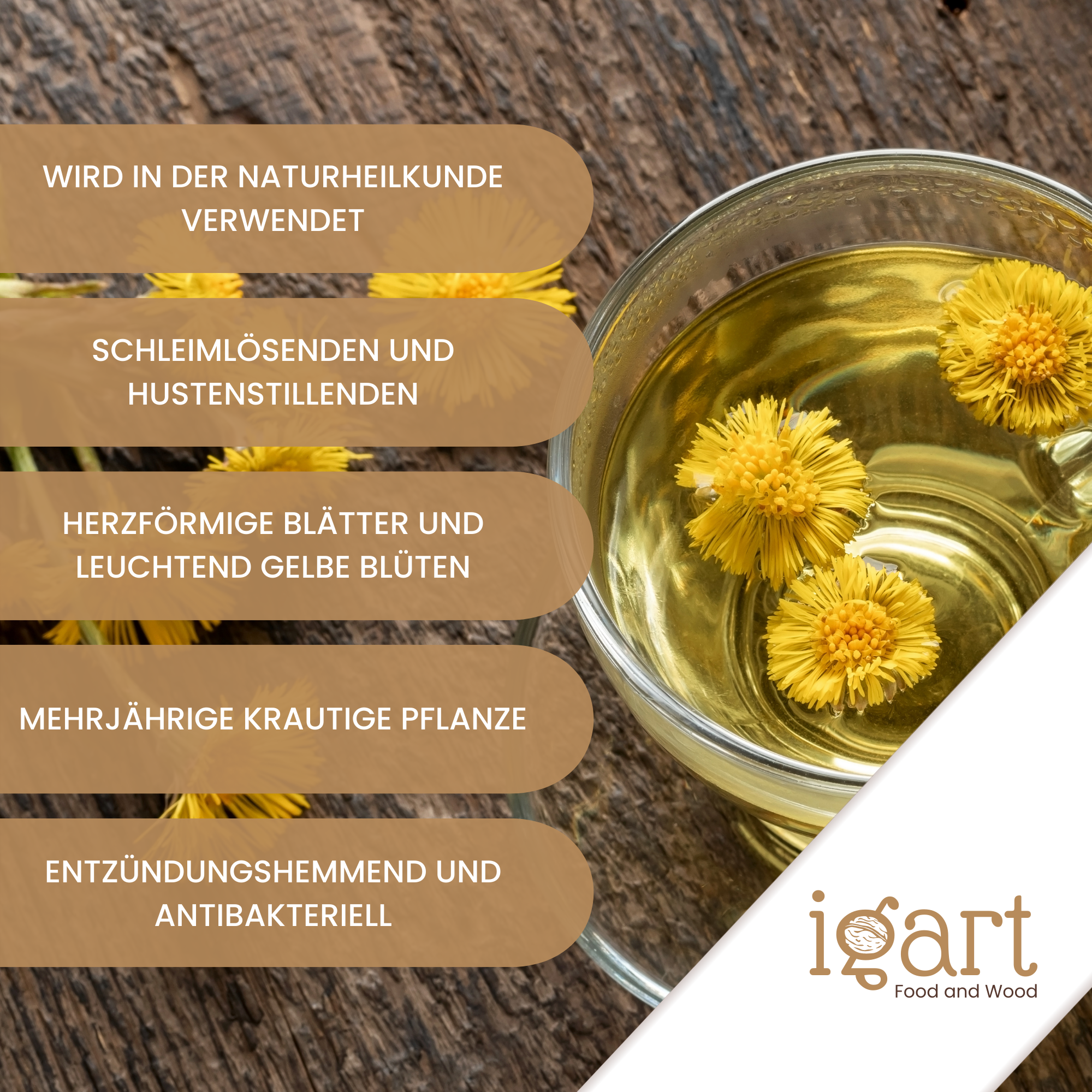 Huflattich Blätter geschnitten - obrazek 5