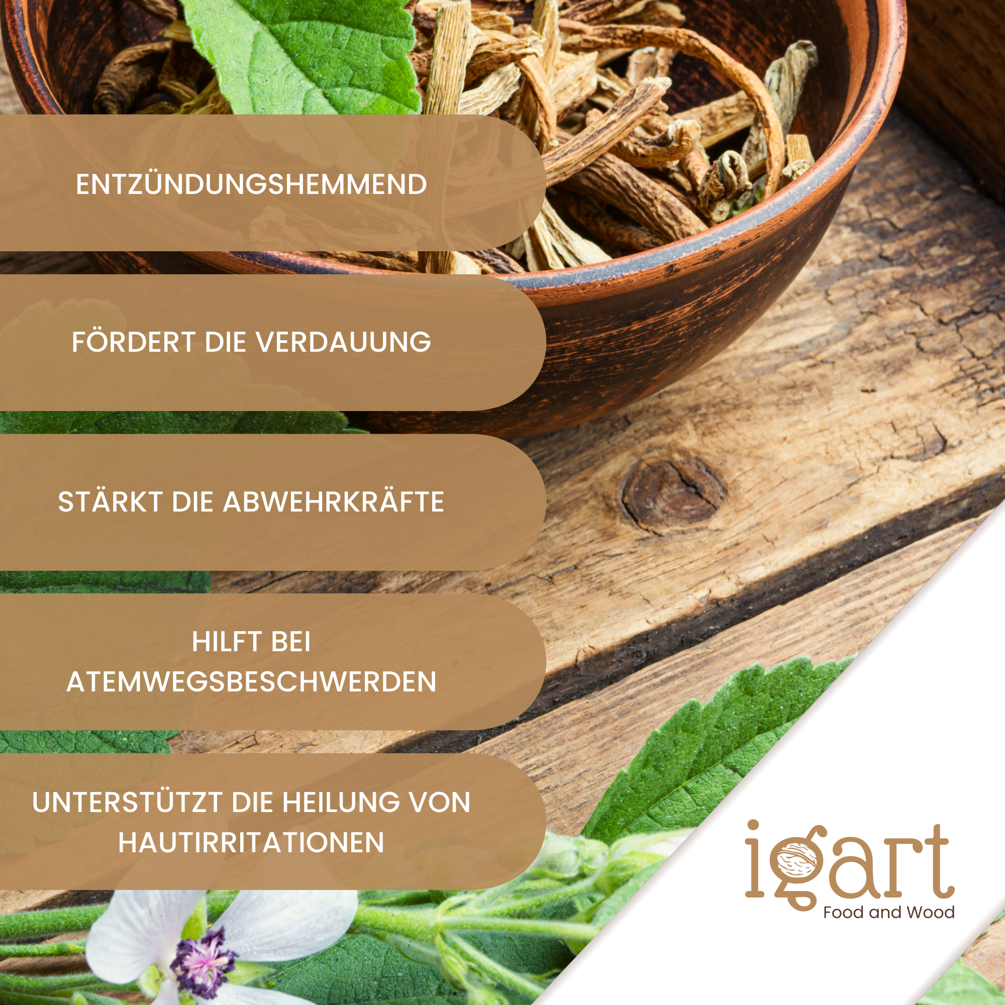 Eibisch Blätter und Stängel geschnitten - obrazek 4