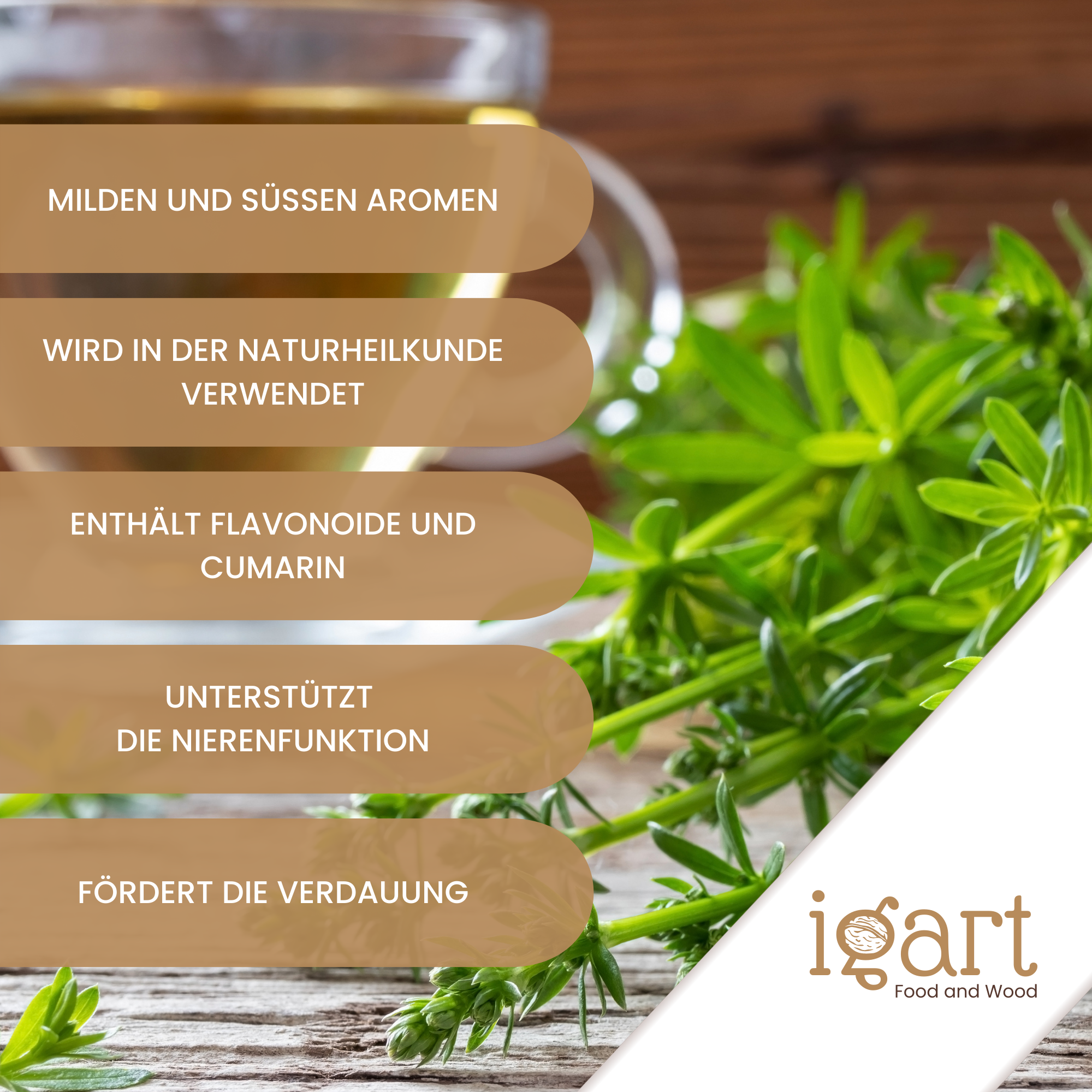 Labkraut geschnitten - obrazek 6