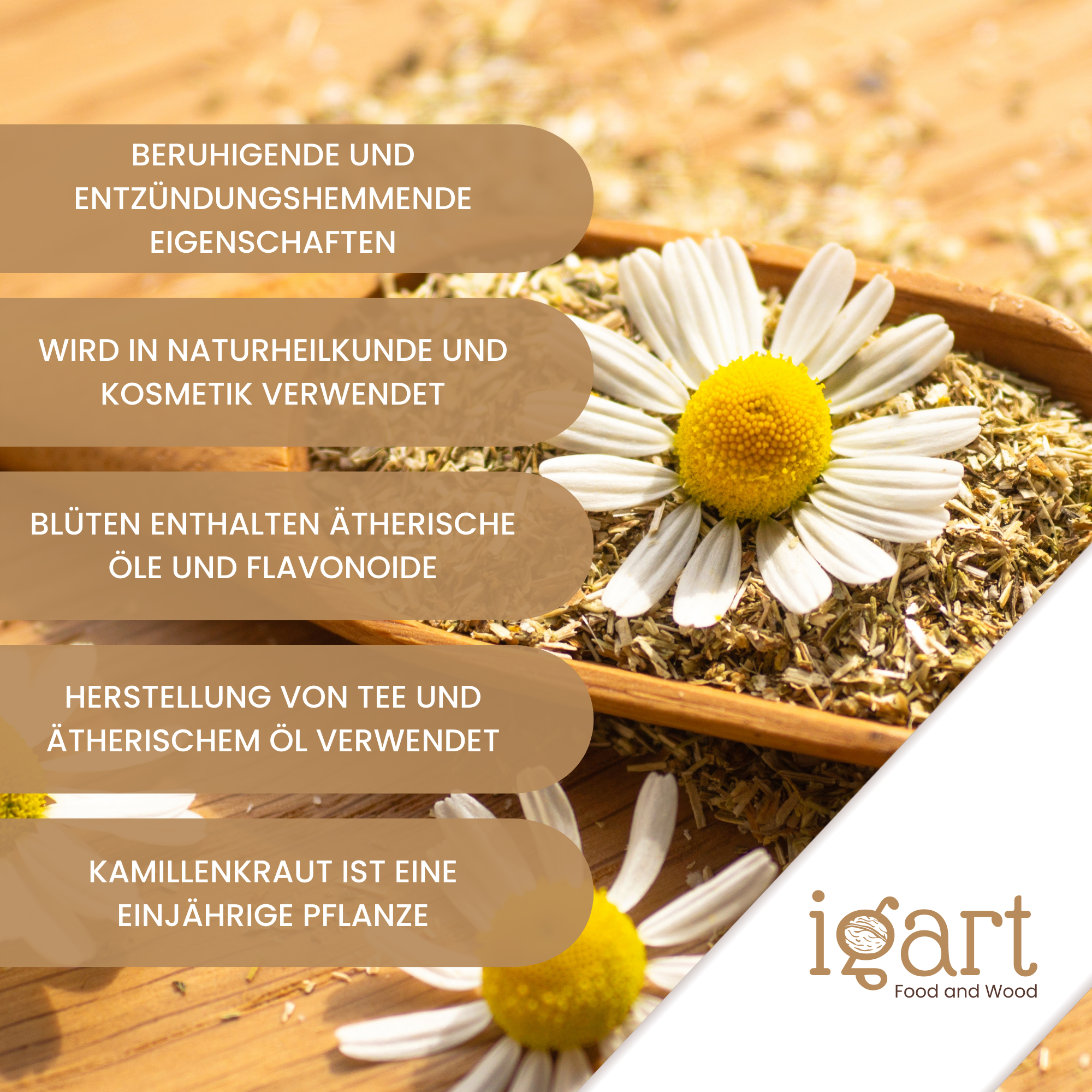 Kamillenkraut geschnitten - obrazek 4