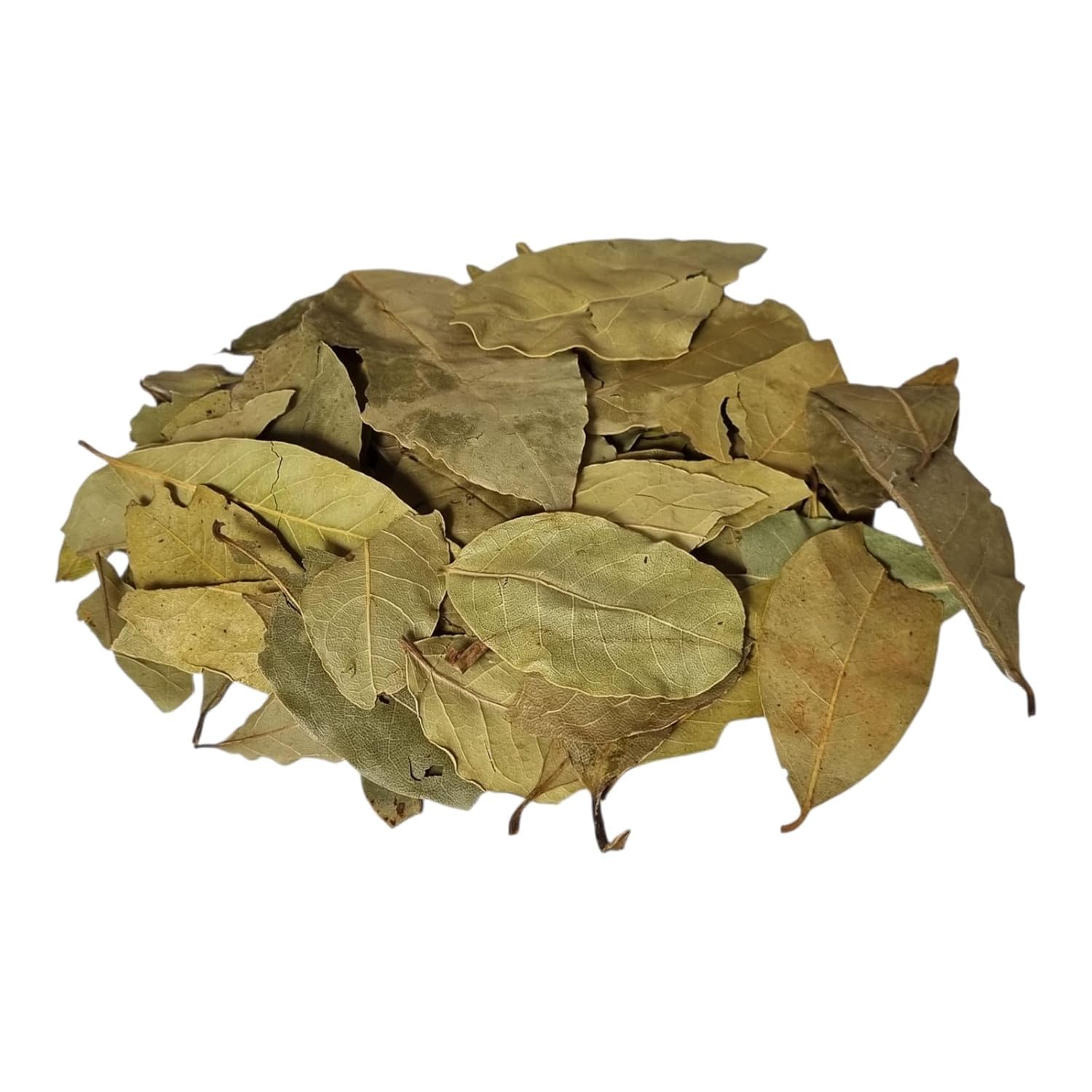 Lorbeerblätter - obrazek 2