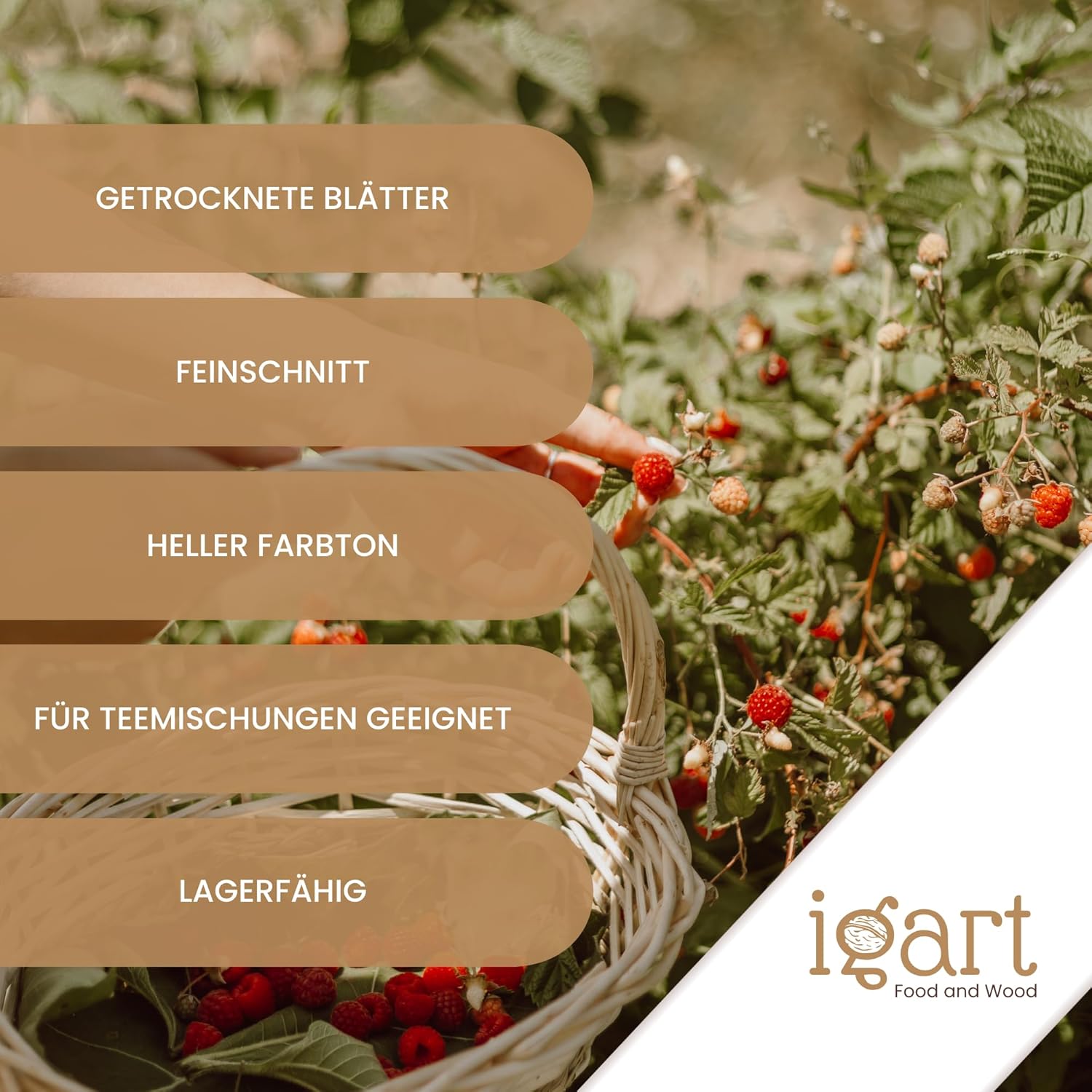 Himbeerblättertee - obrazek 4