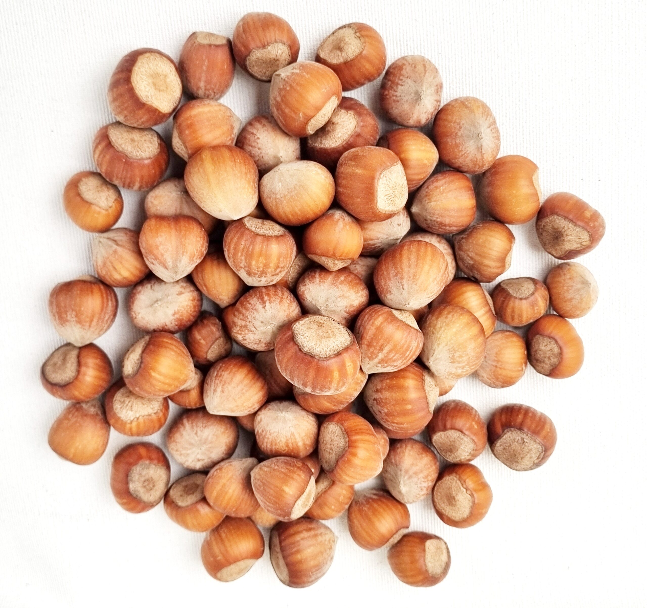 Haselnüsse Ernte 2025 kaufen 3kg